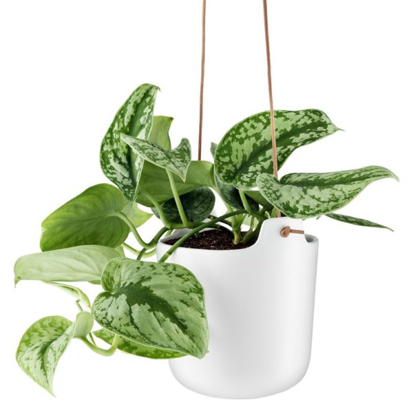Горшок для растений Flowerpot подвесной